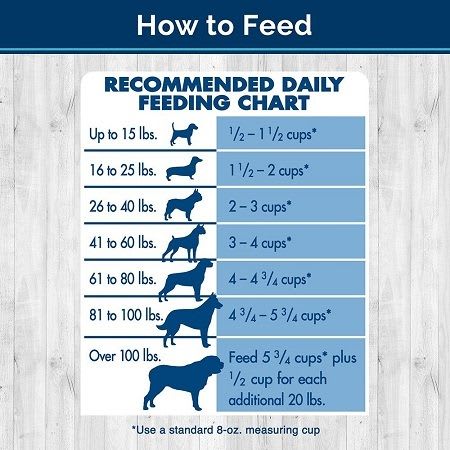 Dog Feeding Chart