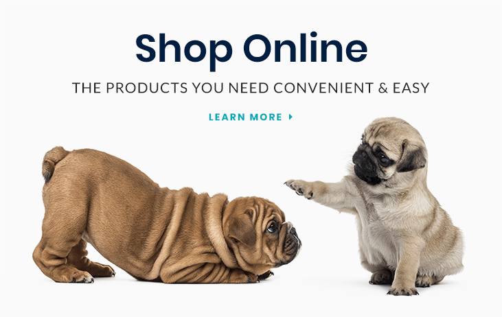 Shop for Pet Products Online in Wake Forest